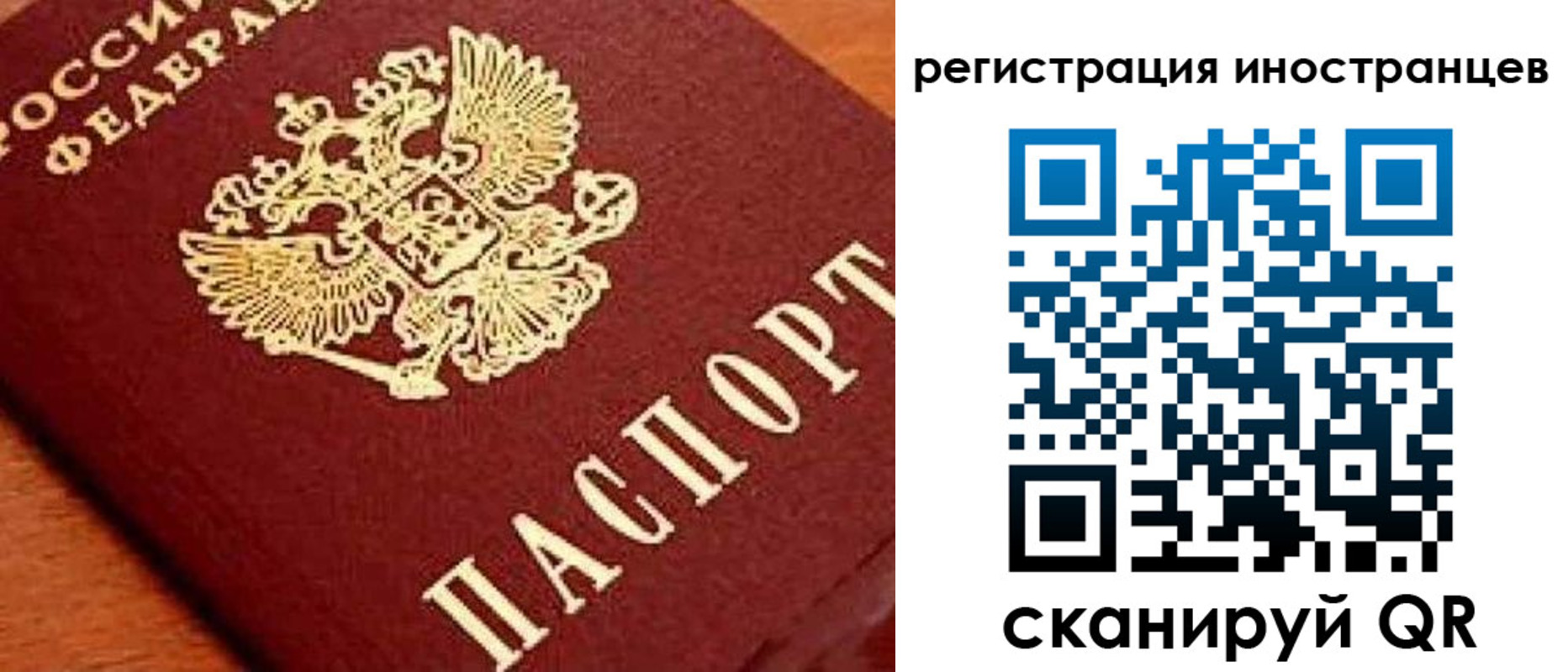 прописка для школы в Смоленской области